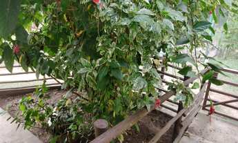 Imagem 5: LINDA CHÁCARA A VENDA NA CIDADE DE SALTO/SP