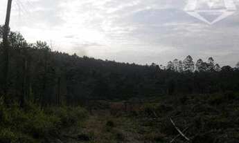 Imagem 4: Área à venda, 25360 m² por R$ 3.804.000,00 - Chácara Santa Mônica - Vargem Grande Paulista