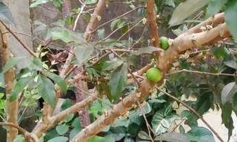 Imagem 5: Sobrado para venda em Granjas Betânia - Juiz de Fora - MG