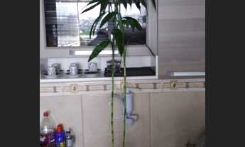 Imagem 2: Apto 2 Qts - Felipe Cardoso. Financia