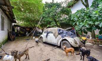 Imagem 6: Vendas Terreno Curitiba PR