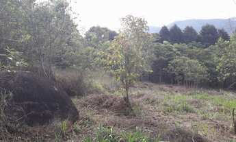 Imagem 3: Lote/ Chácara 2580 m2 - Jardim Aracy - Mogi das Cruzes - SP