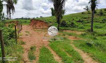 Imagem 6: Ariquemes - Sítio - 20 Alqueires em Ariquemes