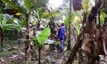 Imagem 3: Vende se chácara Px á pria