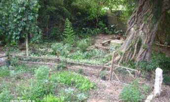 Imagem 5: Porto Alegre - Casa Padrão - Cristal