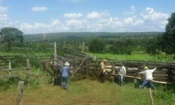Imagem 5: Fazenda à venda, 1452000 m² por R$ 1.700.000,00 - Zona Rural - Curvelo/MG