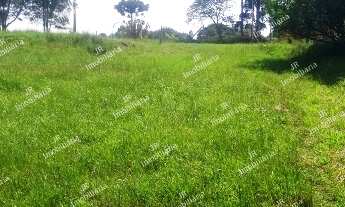 Imagem: Excelente Chácara Sem Benfeitorias