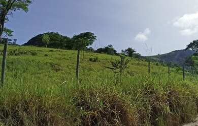 Imagem 5: Vendo terreno em barra de São Francisco