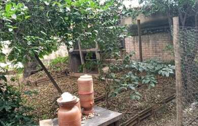 Imagem 5: Belo Horizonte - Loteamento/Condomínio - Alto Barroca