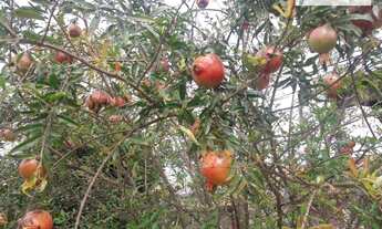 Imagem 7: Casa com 3 dormitórios à venda, 345 m² por R$ 1.200.000,00 - Patropi - Paulínia/SP