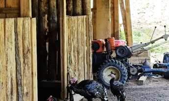 Imagem 5: Pousada/Fazenda para venda com 13000 metros quadrados