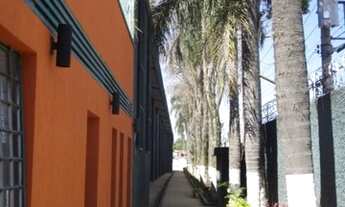 Imagem 3: GALPÃO - SÃO MIGUEL PAULISTA - SP