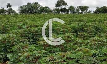 Imagem 2: CHÁCARA COM 1.5 Alqueires A VENDA - localizada EM FRENTE A Br 060