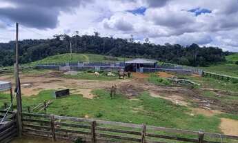 Imagem 6: Fazenda para venda tem 260 alqueires para pecuária Centro - Pacajá - PA