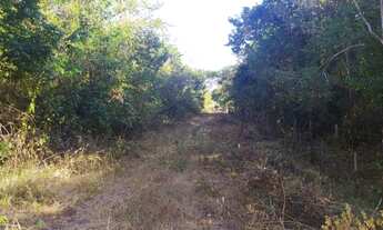 Imagem 3: Área com 13 hectares para sítios ou loteamentos, a 23 km de Teresina após o Rodoanel