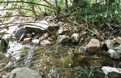 Imagem 3: Casa - Florianópolis SC