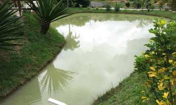 Imagem 7: Maravilhosa Granja no granjeamento Colorado