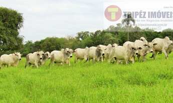 Imagem 4: Paranapanema SP 98 alqs Dupla Aptidão fundo p/ Represa