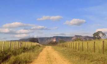 Imagem 11: Vendo Linda Chácara Ecológica Guarani de Goiás GO