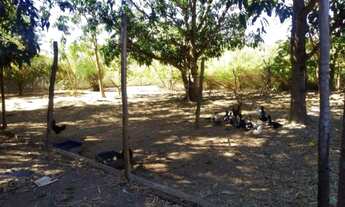 Imagem: Chácara no Incra 6, casa 4 Qtos, poço