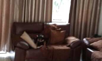 Imagem 7: Jaguaré - Sobrado a venda com 183m² de construção