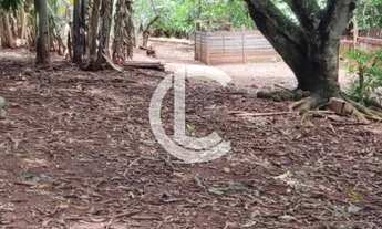 Imagem 6: CHÁCARA COM 1.5 Alqueires A VENDA - localizada EM FRENTE A Br 060