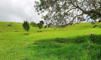 Imagem 3: Sítio para Venda, Silvas