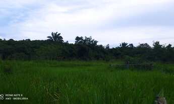 Imagem 6: Sitio com 1.5 hectares, casa sede, excelente localização, aceita propostas!