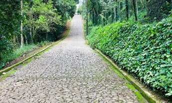 Imagem 3: Lotes condom?nio macacos