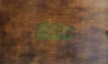 Imagem 3: Apartamento - Parque Independência - Cosmópolis