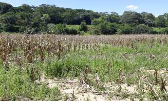 Imagem 12: Sítio de 31 hectares - 5KM de Água Fria