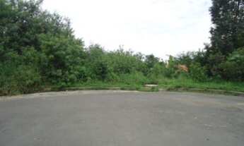 Imagem 6: Porto Alegre - Terreno Padrão - Ipanema