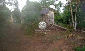 Imagem 6: Machadinho D'Oeste - Sítio - 15 Alqueires