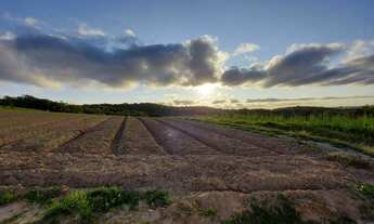 Imagem 3: Lote/Terreno para venda possui 500 metros quadrados em Centro - Cotia - SP
