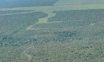 Imagem 3: FAZENDA DE SOJA EM BALSAS 44.000 HECTARES