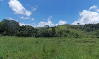 Imagem 7: FAZENDA ÀS MARGENS DA BR 393 - VASSOURAS - 23,8 ALQ. MINEIROS