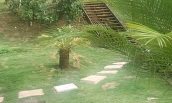 Imagem 4: Área com 5 mil metros quadrados na Ilha do Brandão - Angra dos Reis