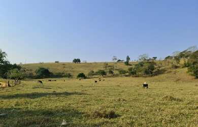 Imagem 5: Fazenda/Sítio/Chácara para venda em Descoberto-MG