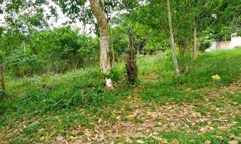 Imagem 2: Vendo lote no Tarumã