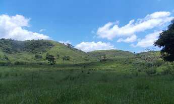 Imagem 3: FAZENDA ÀS MARGENS DA BR 393 - VASSOURAS - 23,8 ALQ. MINEIROS