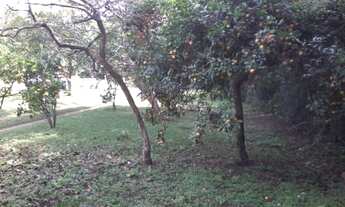 Imagem 3: Porto Alegre - Terreno Padrão - Restinga