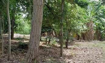 Imagem 7: Aldeia do Vale- Lote a venda com 2.658,66m2, excelente vista..