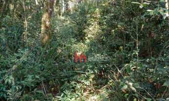 Imagem 2: Área à venda, 92000 m² por R$ 1.300.000,00 - Cachoeira - São José dos Pinhais/PR