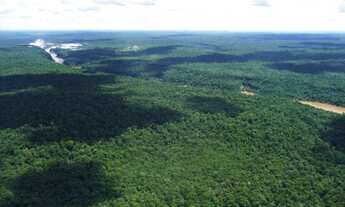Imagem 5: ÁREA DE MATA ATLÂNTICA - GUARAQUEÇABA/PR - 215 alqueires (520 hectares