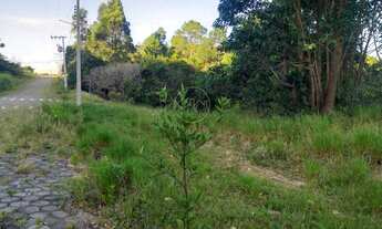 Imagem 4: Garopaba - Terreno Padrão - Macacu