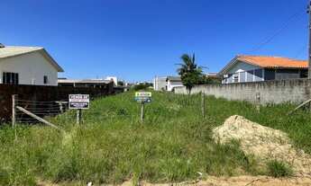 Imagem 5: Terreno içara, bairro Tereza Cristina