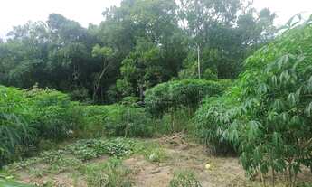 Imagem 7: Porto Alegre - Sítio - Belém Velho