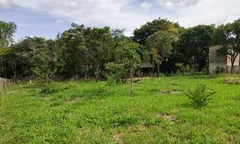 Imagem 7: Chácara no Setor Jardins dos Ipês - Aparecida de Goiânia