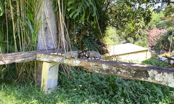 Imagem 7: Chácara - Jaraguá