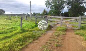 Imagem 5: Alto Paraíso - Sítio - 42 alqueires